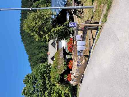 54. Lučki dan: Od štanta do štanta - perice zaradi suše na drugi lokaciji